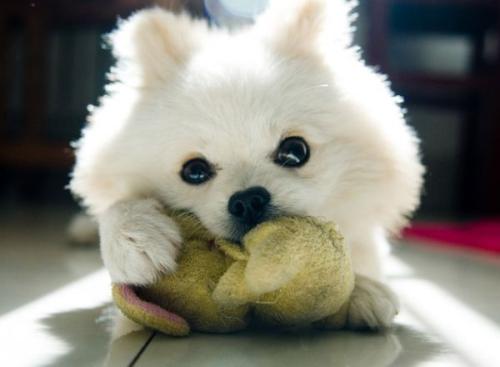 3124ʱͼ۸ÿϵ90Ԫ85Ԫ